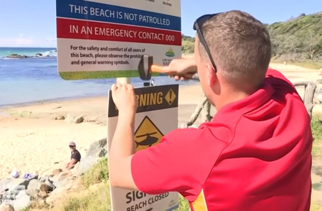 Hrdinský surfer zachránil svoju manželku pred smrťou po útoku žralokom (video)