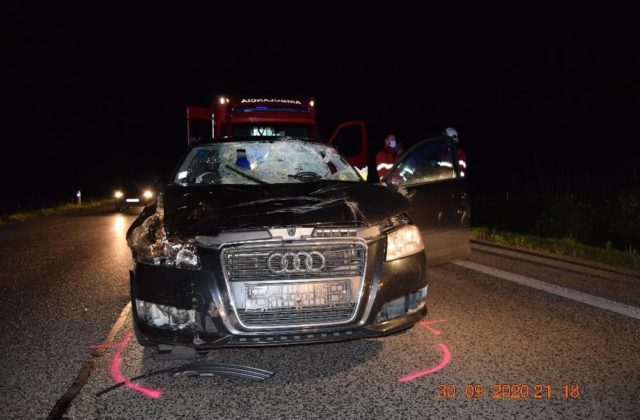 Vodič Audi sa čelne zrazil s jelenicou, so zraneniami ho previezli do nemocnice (foto)