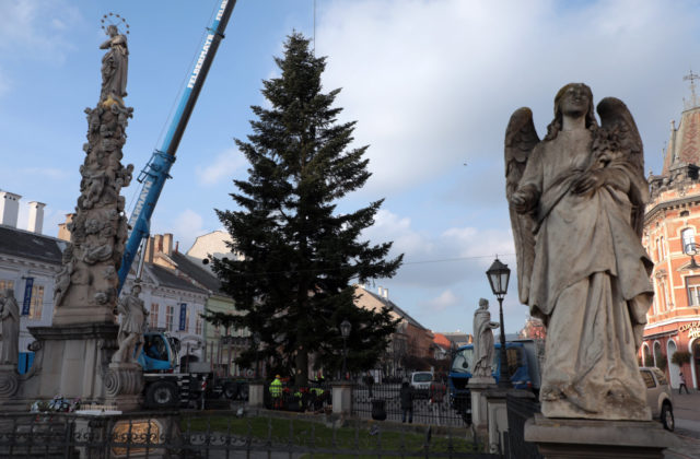 Centrum Košíc už zdobí vianočný strom, dominanta mesta má 60 rokov a úctyhodnú výšku