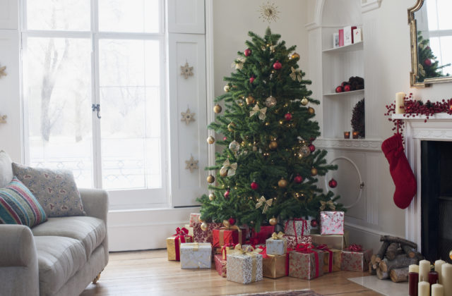 Vianočné stromčeky skompostujú aj Košice, mesto začína so zberom
