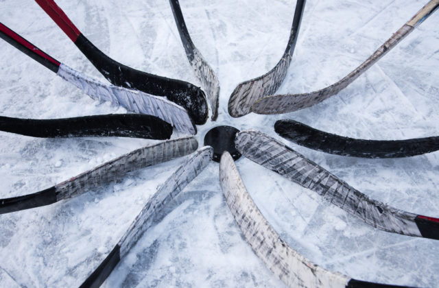 SZĽH niekoľkokrát porušil zákon o verejnom obstarávaní, pri kúpe hokejok konal diskriminačne