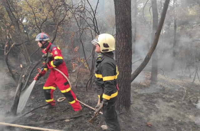 Slovenským hasičom sa podarilo dostať v Grécku pod kontrolu požiare v Avgrii (foto)