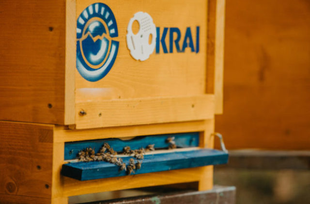Projekt KRAJa na podporu včelárov priniesol svoju úrodu – 700 kíl medu od študentov včelárstva