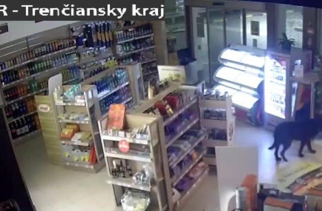 Muž v Bánovciach nad Bebravou chcel vykradnúť pumpu, na privolaných policajtov huckal svojho psa