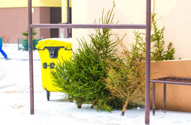 Košice aj tento rok rozmiestnia drevené ohrádky na zber vianočných stromčekov