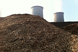 Novaky a biomasa