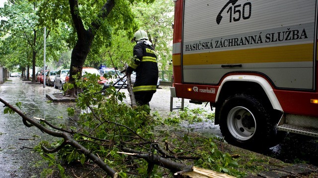 hasiči, spadnutý strom