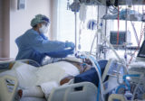 Zdravotná sestra ošetruje pacienta s ochorením COVID-19 napojeného na umelú pľúcnu ventiláciu na Oddelení anestéziológie a intenzívnej medicíny v Univerzitnej nemocnici Bratislava (UNB) v Ružinove. Bratislava, 23. november 2021.